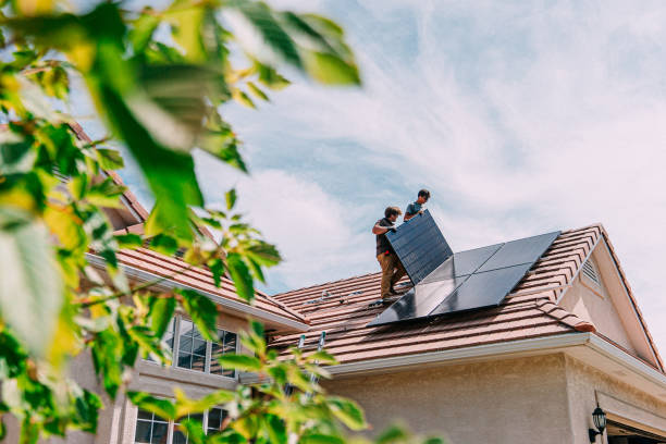 Best Roof Moss and Algae Removal  in New London, IA